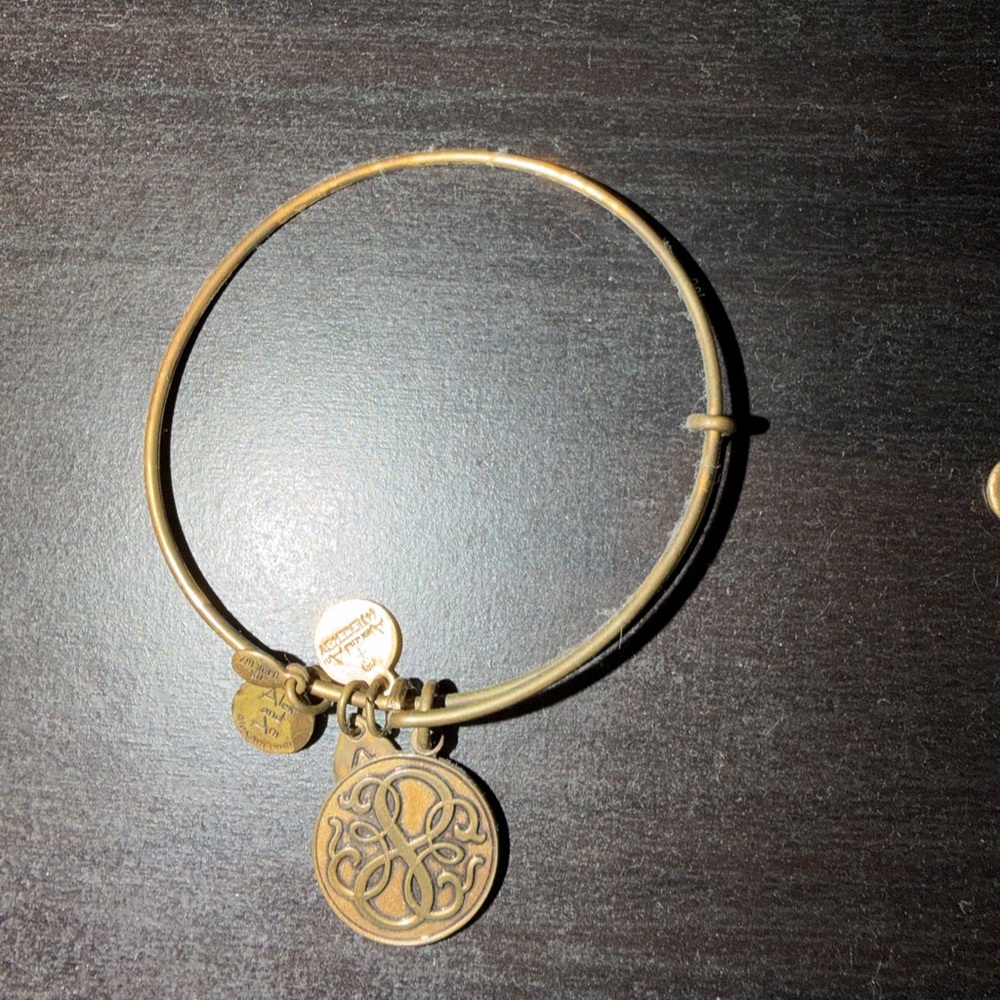 Alex and ani Gold Charm Bangle Bracelet